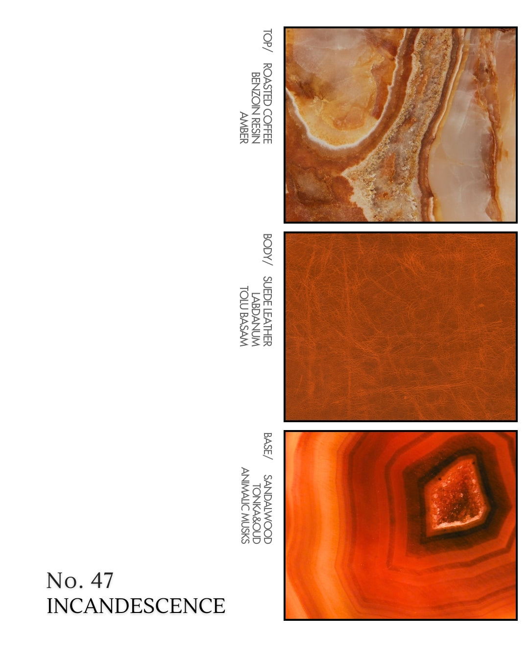 No.47 - Incandescence